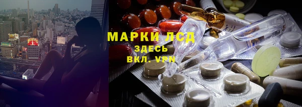 PSILOCYBIN Гусь-Хрустальный