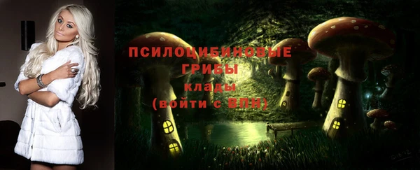 PSILOCYBIN Гусь-Хрустальный