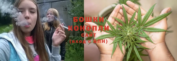 PSILOCYBIN Гусь-Хрустальный
