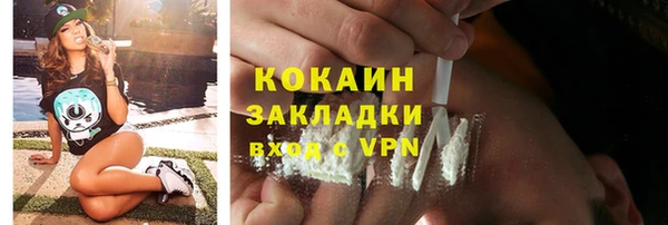 PSILOCYBIN Гусь-Хрустальный
