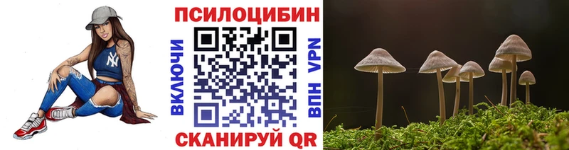 Купить  Пустошка  Галлюциногенные грибы MAGIC MUSHROOMS 